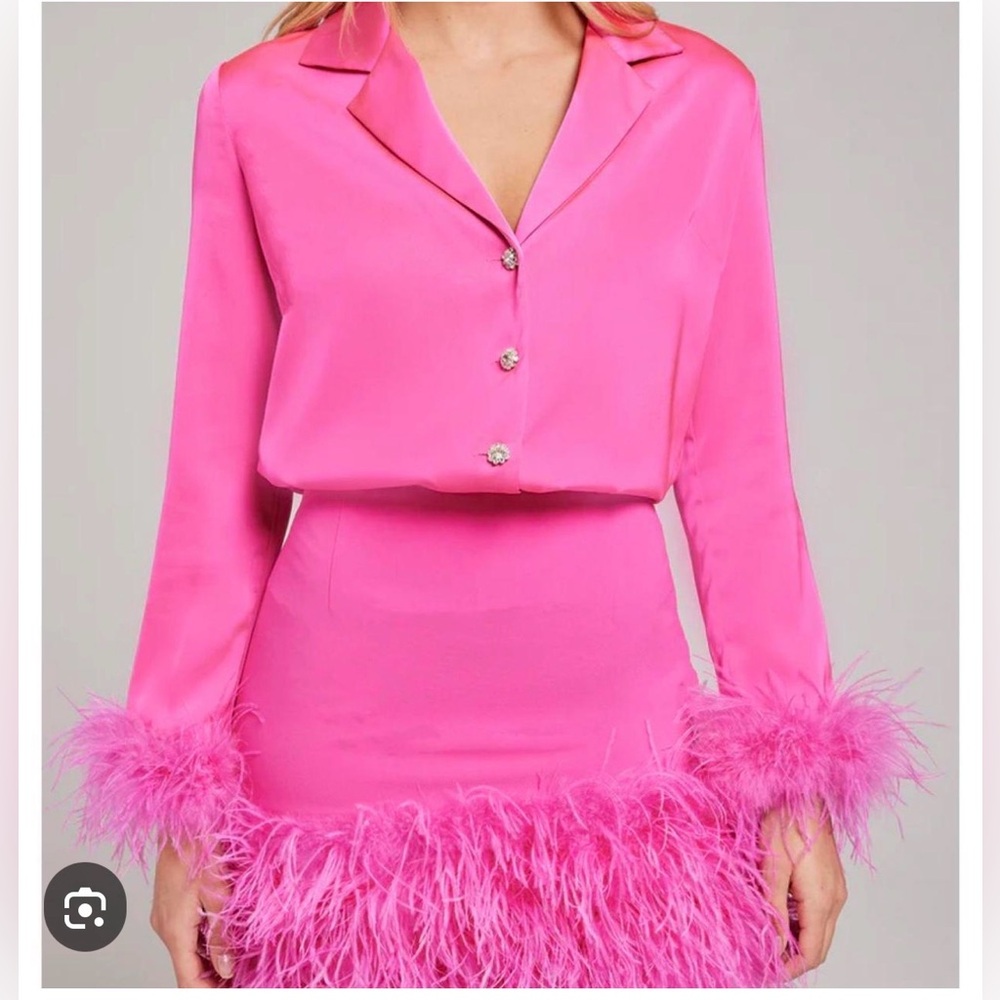 Gorgeous NADINE MERABI  Taylor feather blouse w/rhinestone buttons.